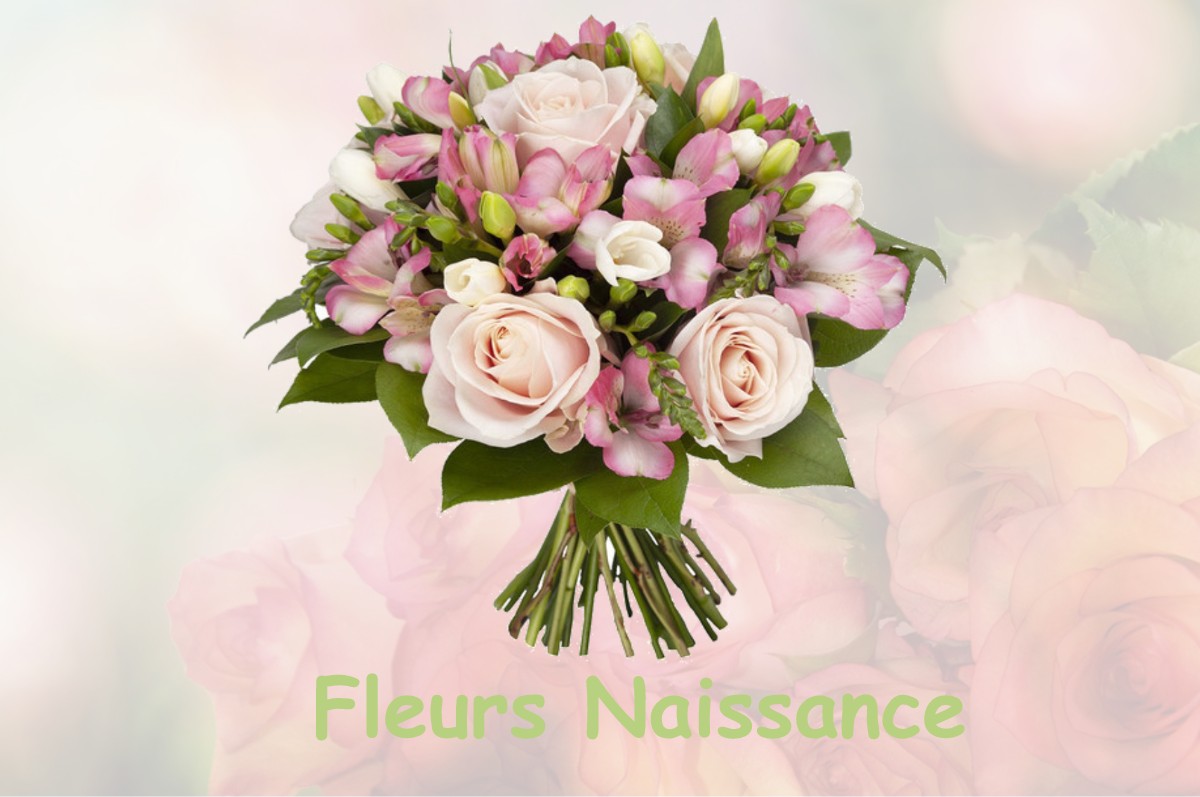 fleurs naissance WAVRILLE