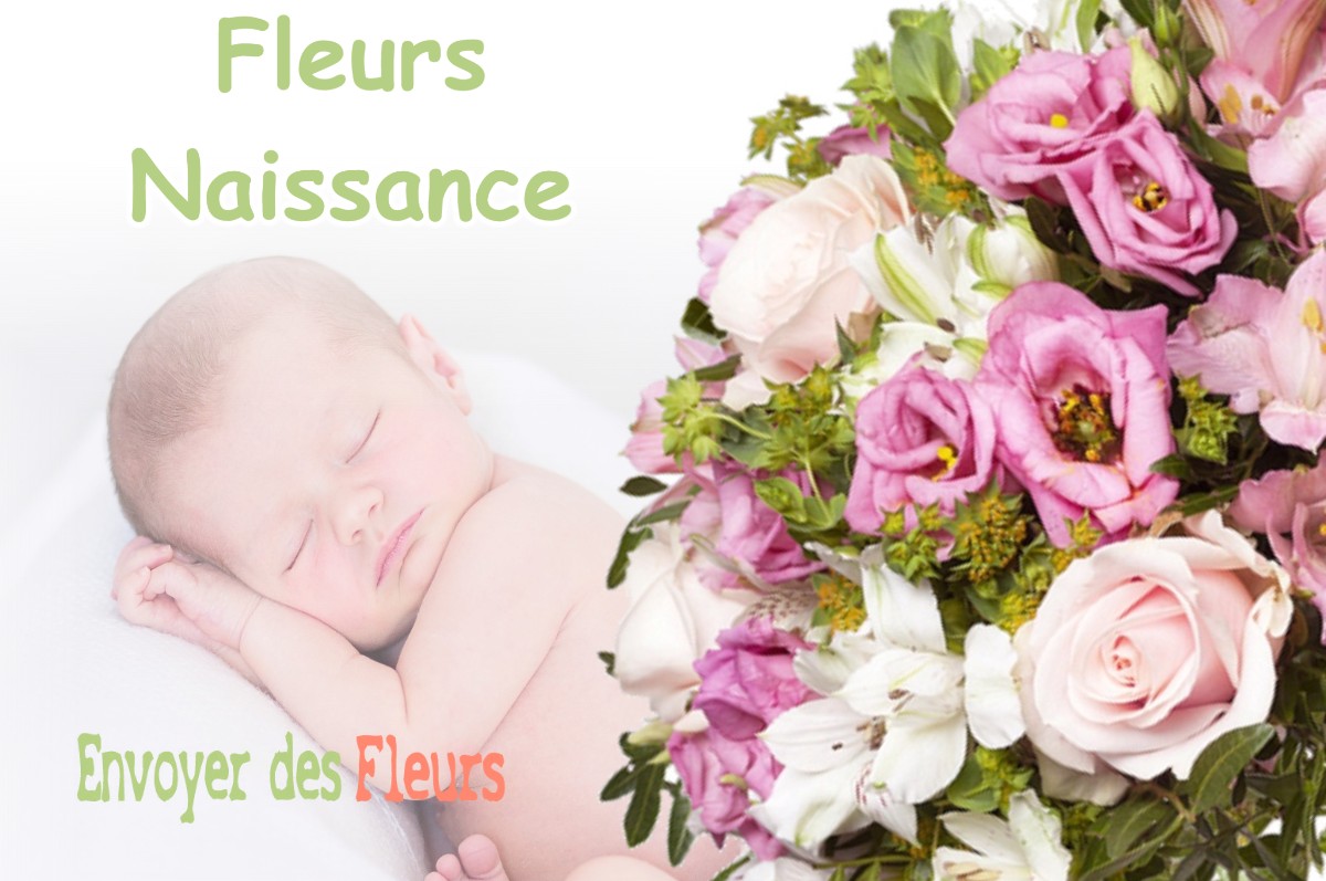 lIVRAISON FLEURS NAISSANCE à WAVRILLE